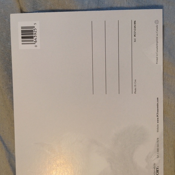 Canada Squirrel Postcard 3 for $10 - Picture 4 of 4